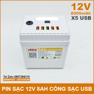 Pin sạc dự phòng 12V 8000mAh có cổng USB đèn Led kèm sạc 12