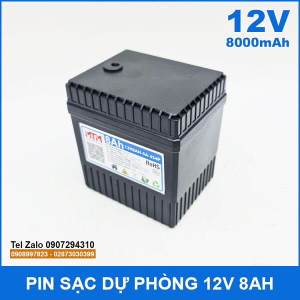 Pin sạc dự phòng 12V 8000mAh kèm sạc 4