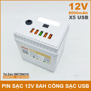 Pin sạc dự phòng 12V 8000mAh có cổng USB đèn Led kèm sạc 13