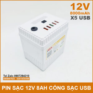 Pin sạc dự phòng 12V 8000mAh có cổng USB đèn Led kèm sạc 14