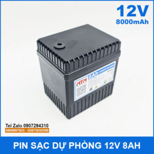 Pin sạc dự phòng 12V 8000mAh kèm sạc 12