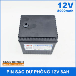 Pin sạc dự phòng 12V 8000mAh kèm sạc 13