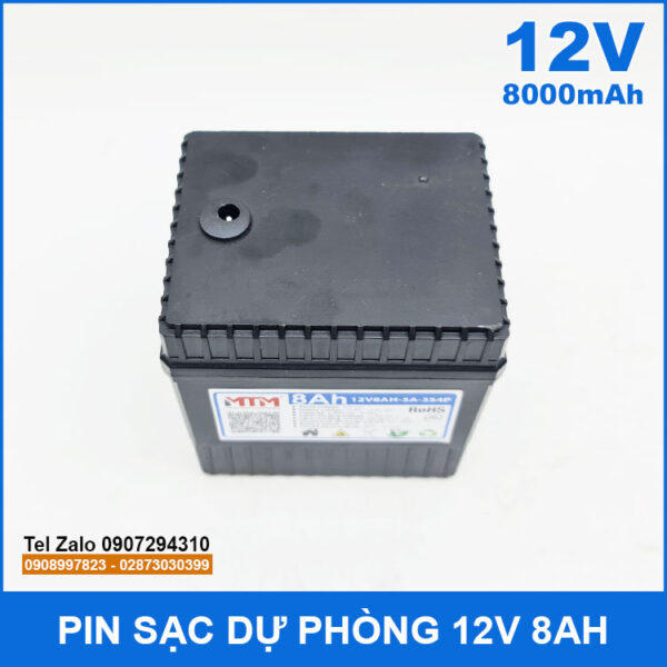 Pin sạc dự phòng 12V 8000mAh kèm sạc 7