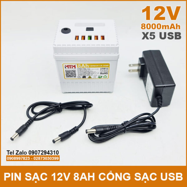 Pin sạc dự phòng 12V 8000mAh có cổng USB đèn Led kèm sạc 3