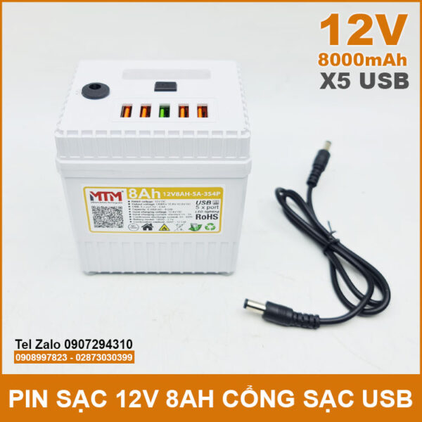 Pin sạc dự phòng 12V 8000mAh có cổng USB đèn Led kèm sạc 4