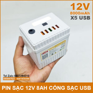 Pin sạc dự phòng 12V 8000mAh có cổng USB đèn Led kèm sạc 15