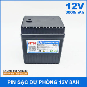 Pin sạc dự phòng 12V 8000mAh kèm sạc 14