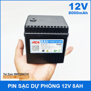 Pin sạc dự phòng 12V 8000mAh kèm sạc 15