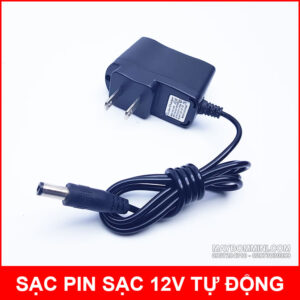 Pin sạc 12V 10Ah 25A 3S MTM kèm sạc 11