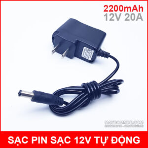 Pin sạc lithium 12V 3000mAh 3S chịu tải 20A MTM kèm sạc 11