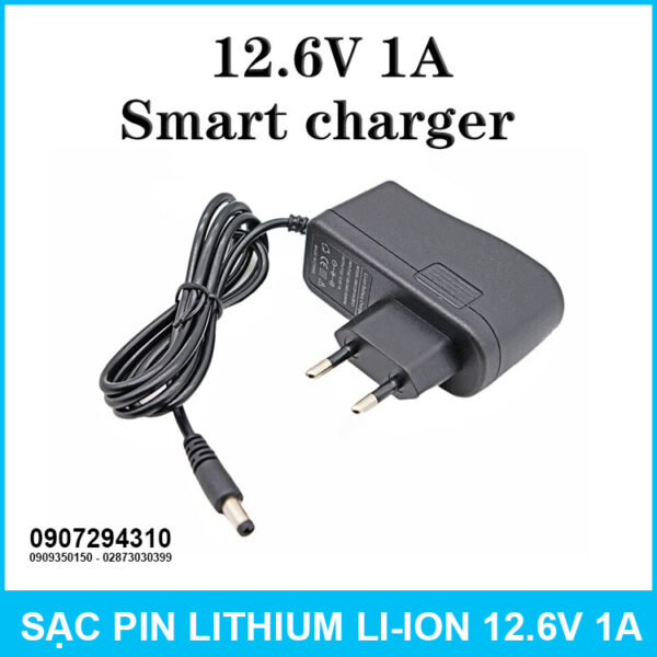 12.6V 1A charger 3S 3.7V lithium battery charger