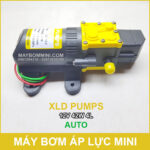 Ban may bom mini 12V gia re