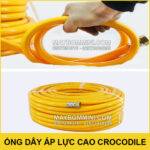 Ban ong day ca sau chinh hang