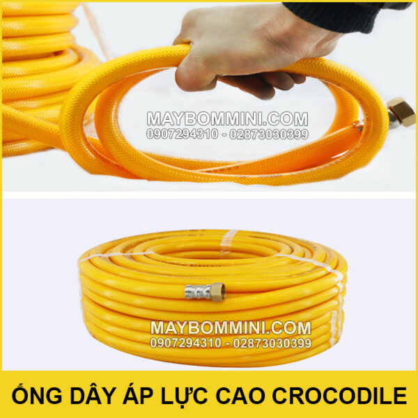 Ban-ong-day-ca-sau-chinh-hang.jpg Ban ong day ca sau chinh hang