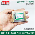 Bien the bien ap tang pho doi dien AC 220V ra110V 1A 30VA tren tay