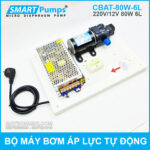 Bo may bom ap luc tu dong 12v 80w 6ll Smartpumps