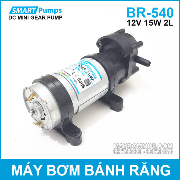Bom banh rang 12V DP540 smartpumps