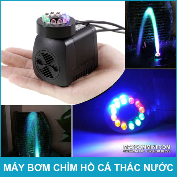 Bom chim ho ca trong nha co den