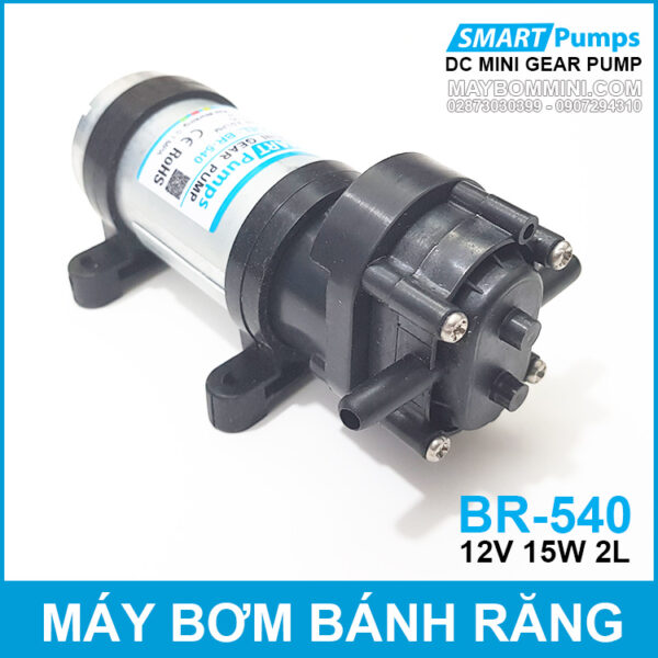 Bom dau nhot chat long banh rang 12V DP540