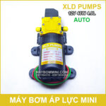 Bom nuoc ap luc mini 12v 48w XLD