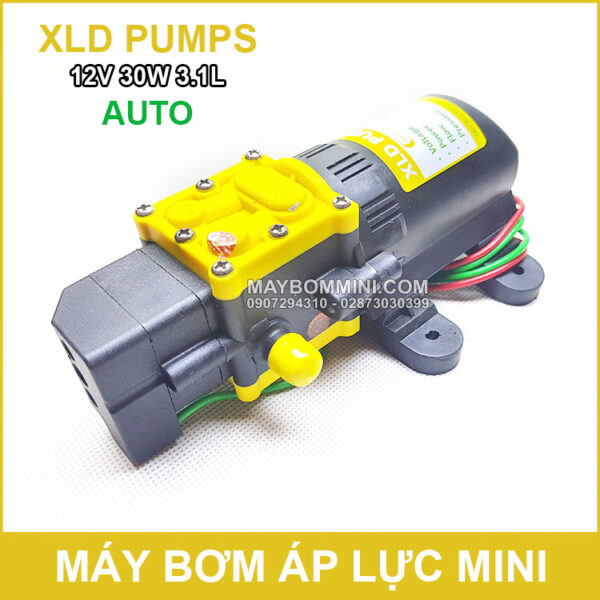 Bom nuoc mini 12v 30w XLD auto