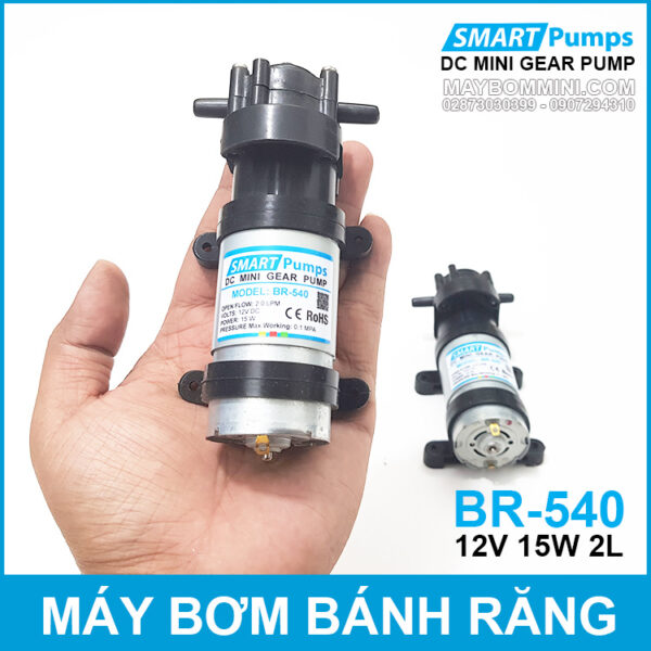 Bom nuoc mini banh rang 12V DP 540