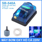 Bom oxy ho be ca gia re 1 voi