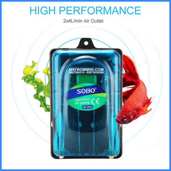 Bom oxy ho ca 2 voi gia re chat luong chinh hang