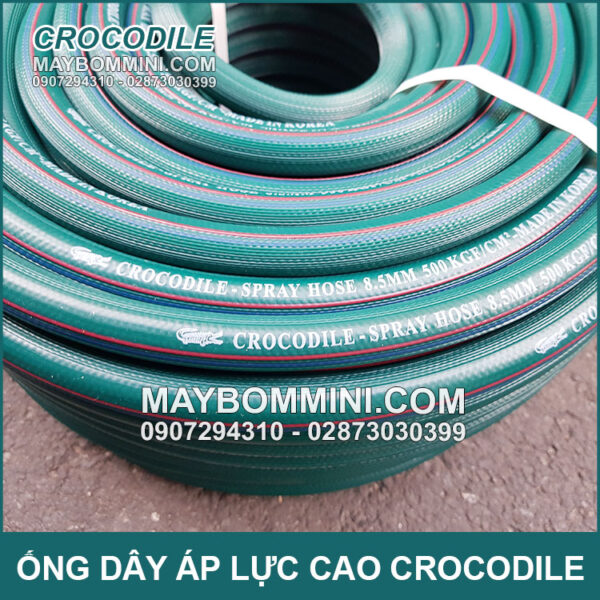 Crocodile-Korea-chinh-hang.jpg Crocodile Korea chinh hang