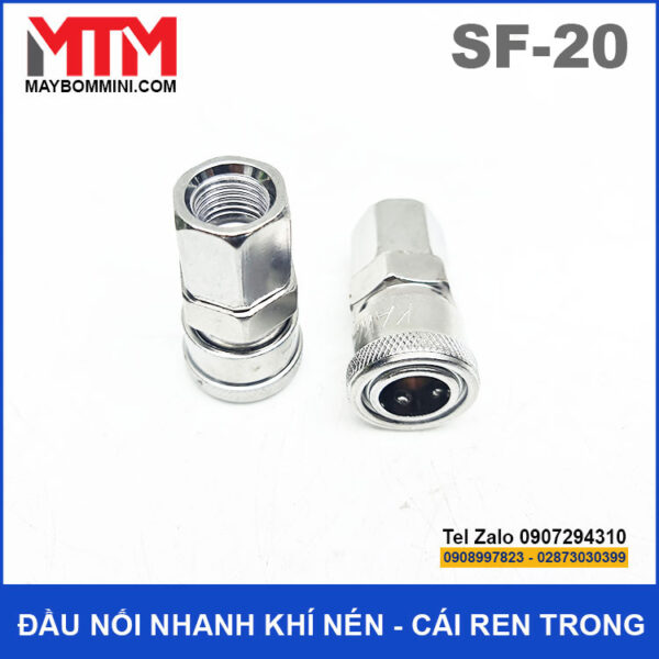 Dau noi nhanh khi nen van bi duoi cai ren trong 13mm SF 20