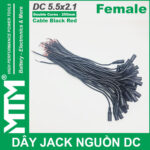 Day jack DC 250mm cai Female jack cable adapter plug power supply chuyen nghiep