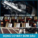Dong co may bom dau DO 12V 24V