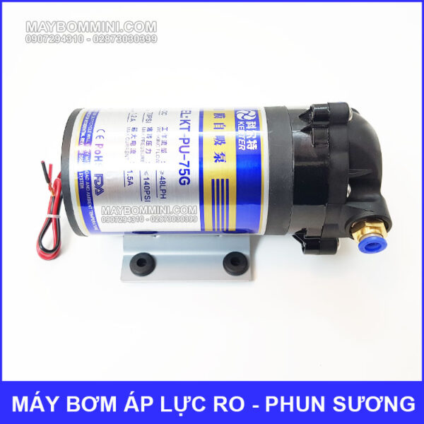 Kerter pump RO 24V 75G