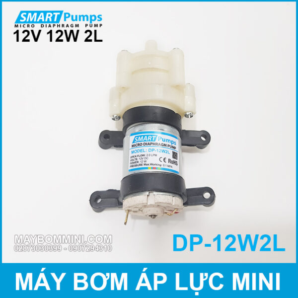 May bom ap luc mini 12V 12W 2L Smartpumps DP 12W2L