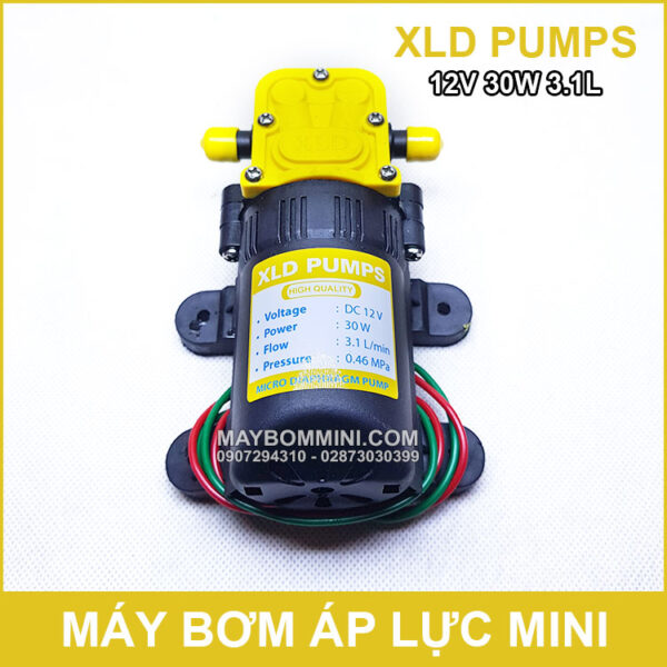 May bom ap luc mini 12V 30W XLD