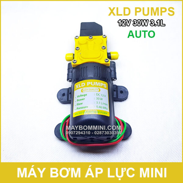 May bom ap luc mini 12V 30W XLD tu dong
