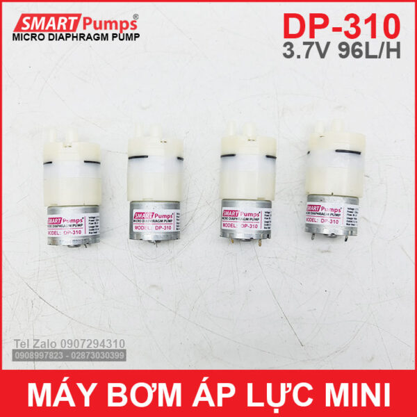 May bom ap luc mini 12V 96L Smartpumps DP 310
