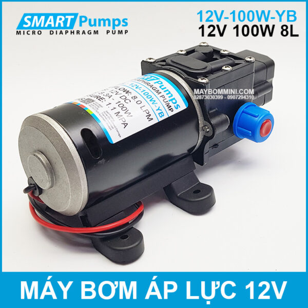 May bom ap luc mini Smarpumps 12V 100W 8L tu dong