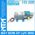 May bom ap luc mini tu dong 12V 45W 4L Smartpumps DP 12V45W YA gia re