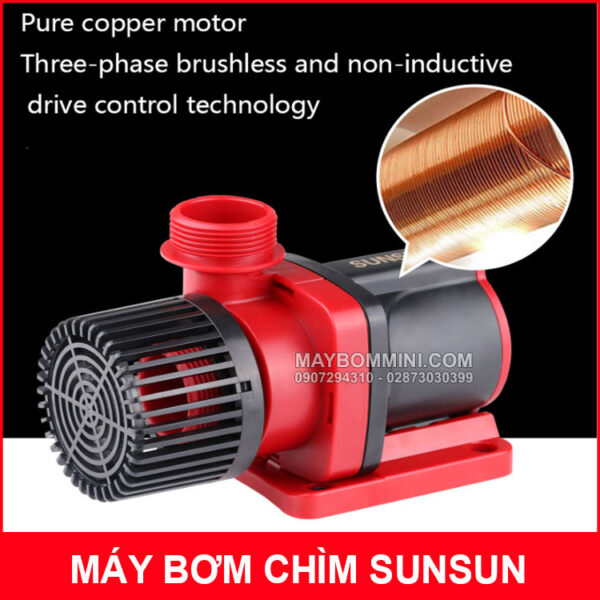 May bom chim khong choi than day dong