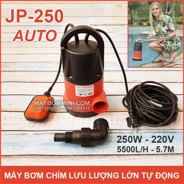 May bom chim luu luong lon 220v JP 250