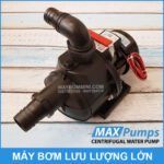 May bom ly tam 12V lu luong lon