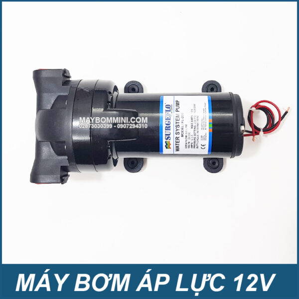 May bom nuoc ap luc 12V FL200 SURGEFLO