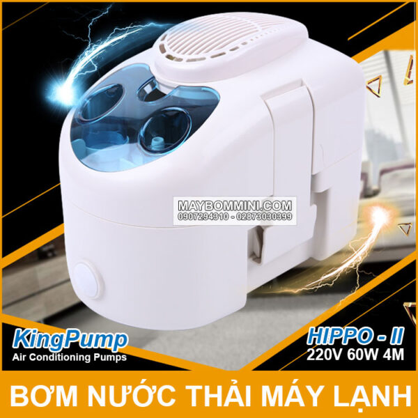 May bom nuoc thai may lanh 220V Hippo 2 Kingpumps
