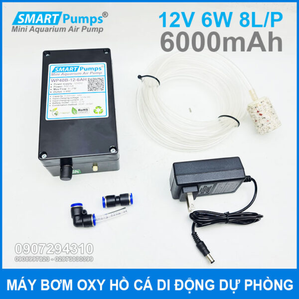 May bom oxy du phong 8L 6W 12V 6Ah