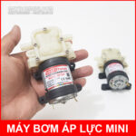 May bom phun diet khuan mini 24V DP 545