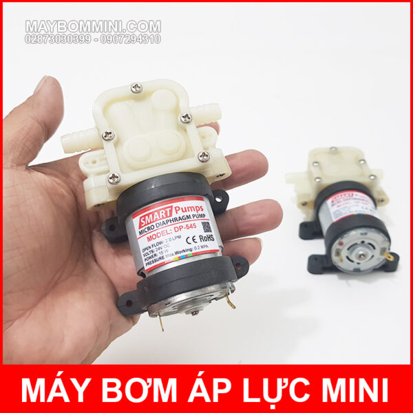 May bom phun diet khuan mini 24V DP 545