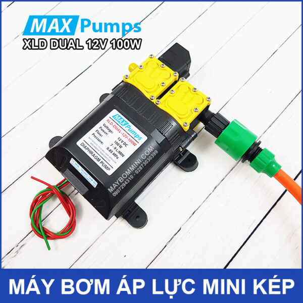 May bom rua xe mini 12V kep