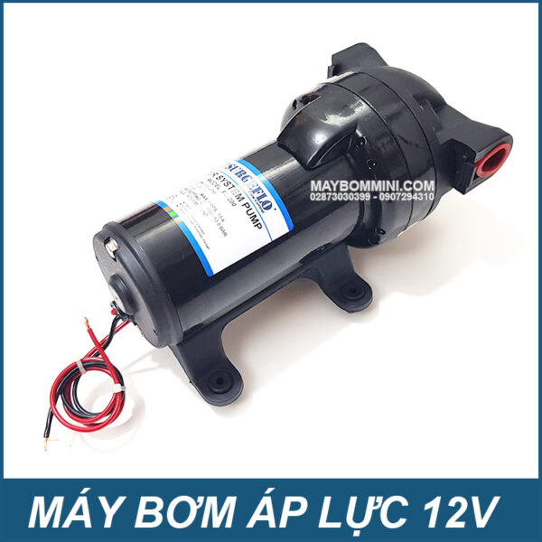 Nha cung cap phan phoi may bom SURGEFLO FL 200 12V