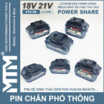 Pin chan pho thong 10cell 80A Led bao pin 2 ben